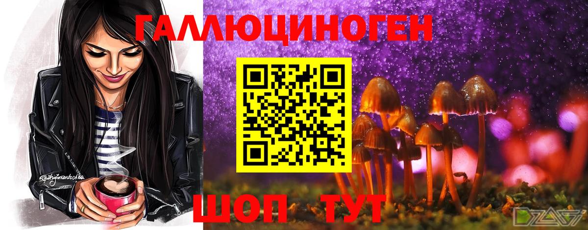 Галлюциногенные грибы Cubensis  Галлюциногенные грибы GOLDEN TEACHER  Черняховск  Вход с VPN 